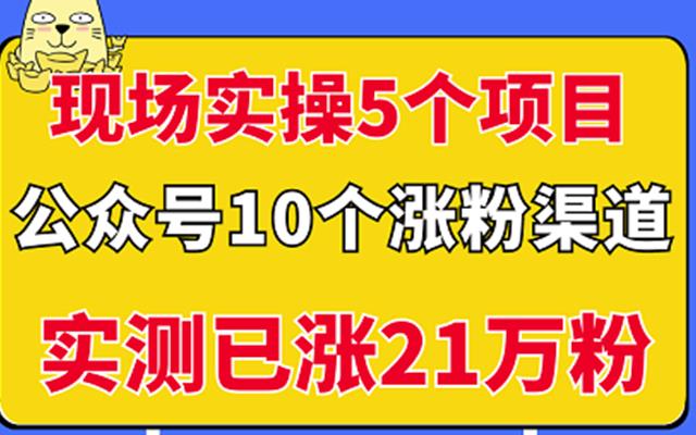 现场实操5个公众号项目，10个涨粉渠道，实测已涨21万粉！￼云创网络源码-黄金外汇交易分析策略提供亏损解套扭亏为盈-网赚项目-副业赚钱-互联网创业-资源整合-棋牌源码云创网络
