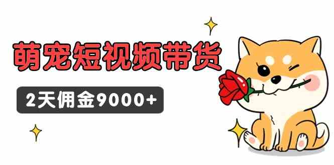 （9273期）东哲日记·萌宠短视频带货，2天佣金9000+云创网络源码-黄金外汇交易分析策略提供亏损解套扭亏为盈-网赚项目-副业赚钱-互联网创业-资源整合-棋牌源码云创网络