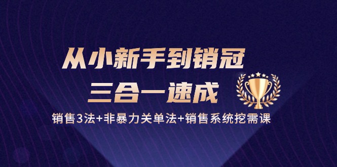 （10799期）从小新手到销冠 三合一速成：销售3法+非暴力关单法+销售系统挖需课 (27节)云创网络源码-黄金外汇交易分析策略提供亏损解套扭亏为盈-网赚项目-副业赚钱-互联网创业-资源整合-棋牌源码云创网络