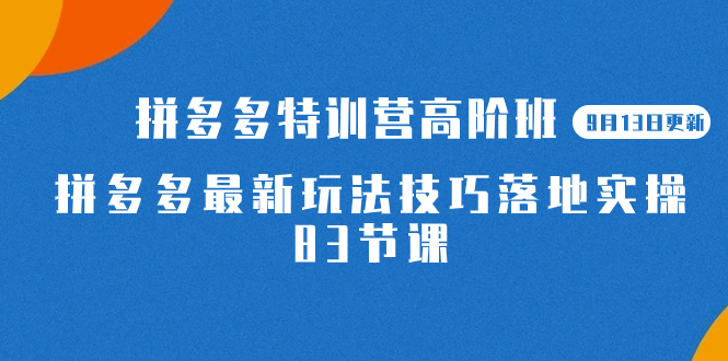 2023拼多多·特训营高阶班【9月19日更新】拼多多最新玩法技巧落地实操-83节云创网络源码-黄金外汇交易分析策略提供亏损解套扭亏为盈-网赚项目-副业赚钱-互联网创业-资源整合-棋牌源码云创网络