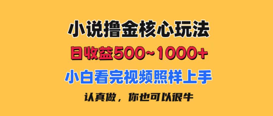 小说撸金核心玩法，日收益500-1000+，小白看完照样上手，0成本有手就行云创网络源码-黄金外汇交易分析策略提供亏损解套扭亏为盈-网赚项目-副业赚钱-互联网创业-资源整合-棋牌源码云创网络